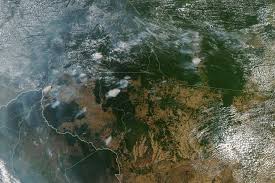 Bolsonaro dijo que incendios en zona de Brasil son provocados 