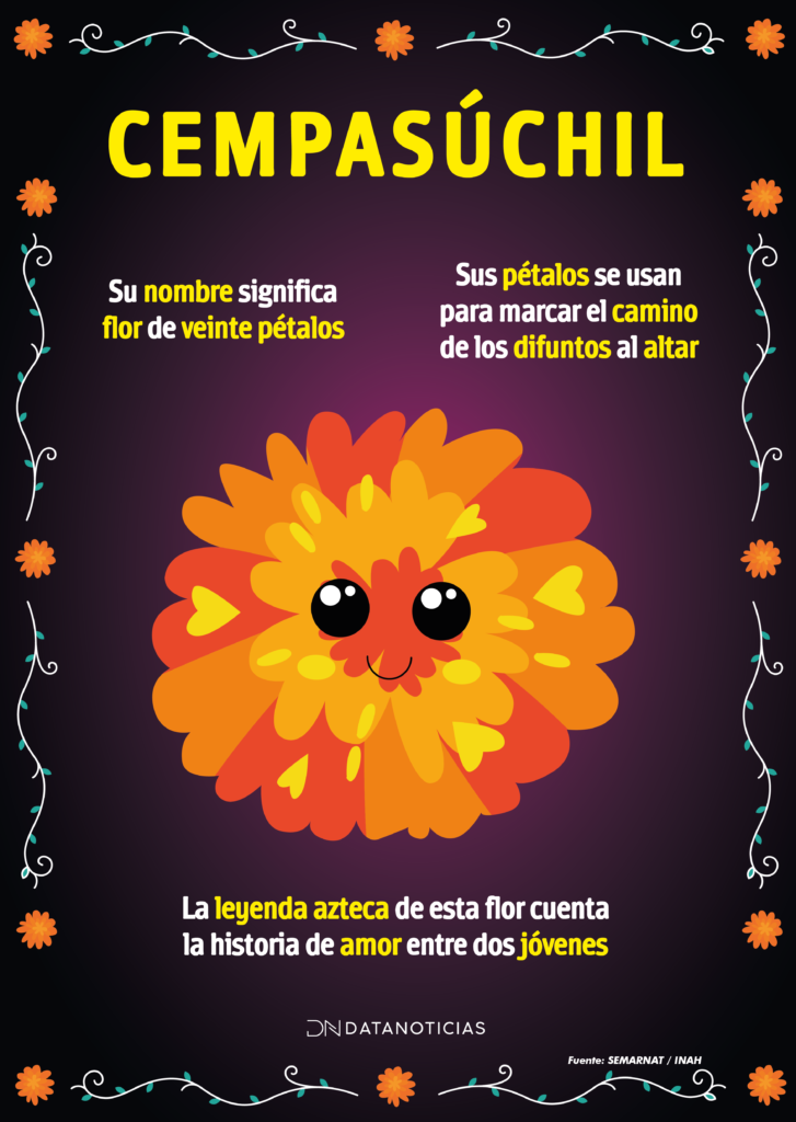 Cempasúchil: la flor del Día de Muertos