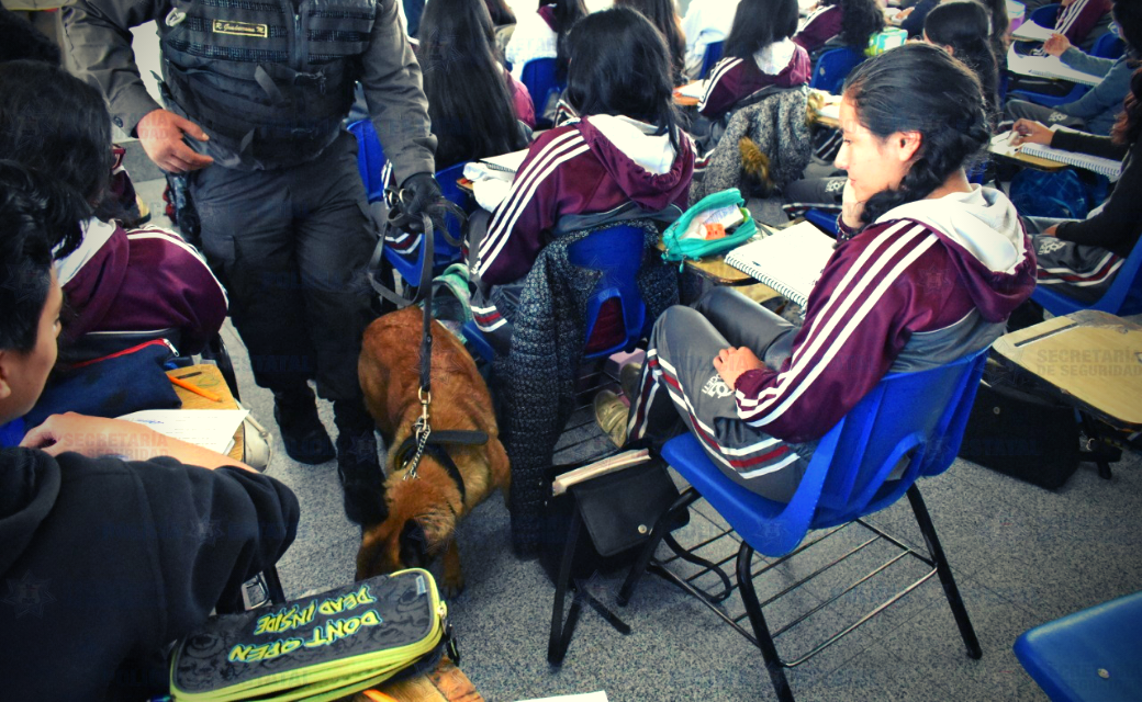 Mi Escuela Segura Estado de México