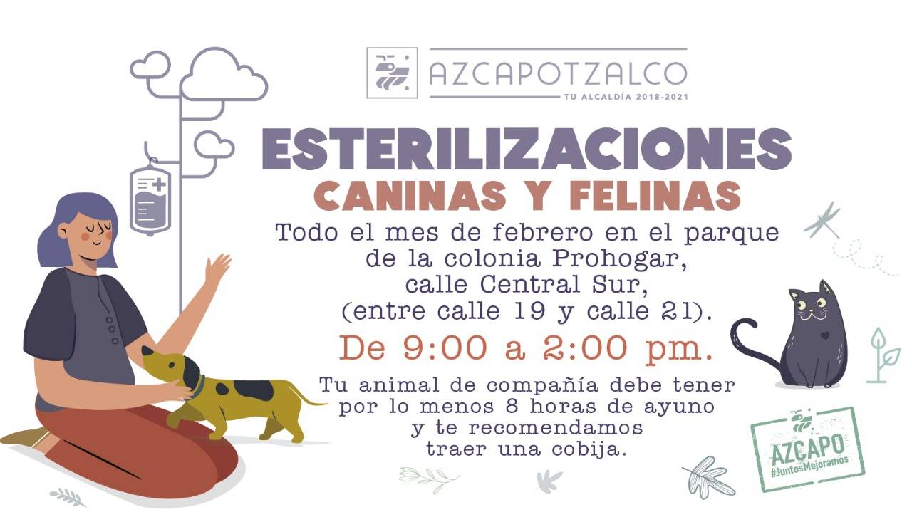 Azcapotzalco esterilización perro gato