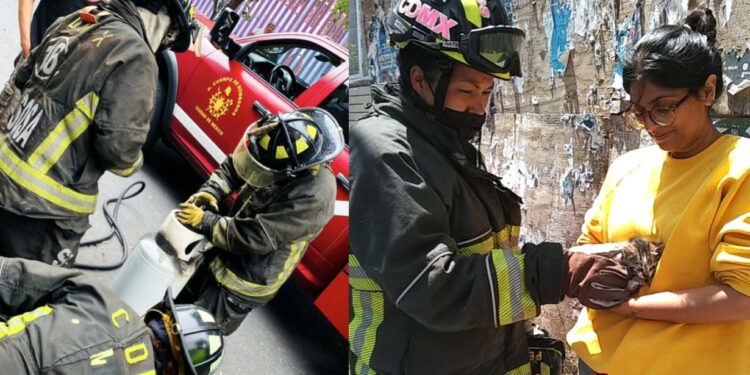 bomberos-CDMX-incendios-actividades-servicios