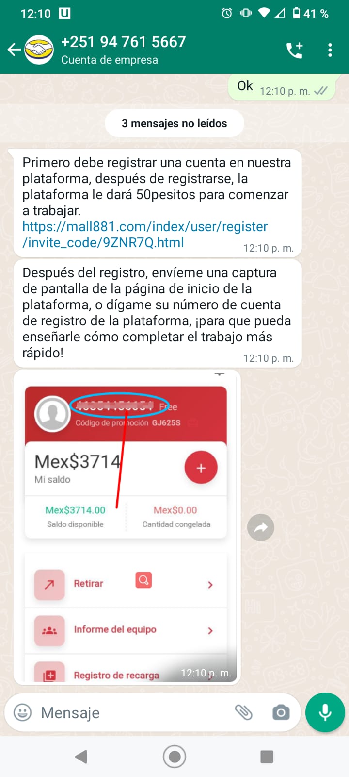 empleo falso mercado libre amazon tiktok shopf 6