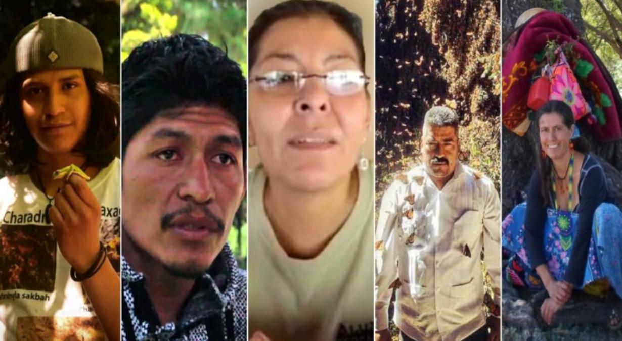 Activistas-asesinados-México