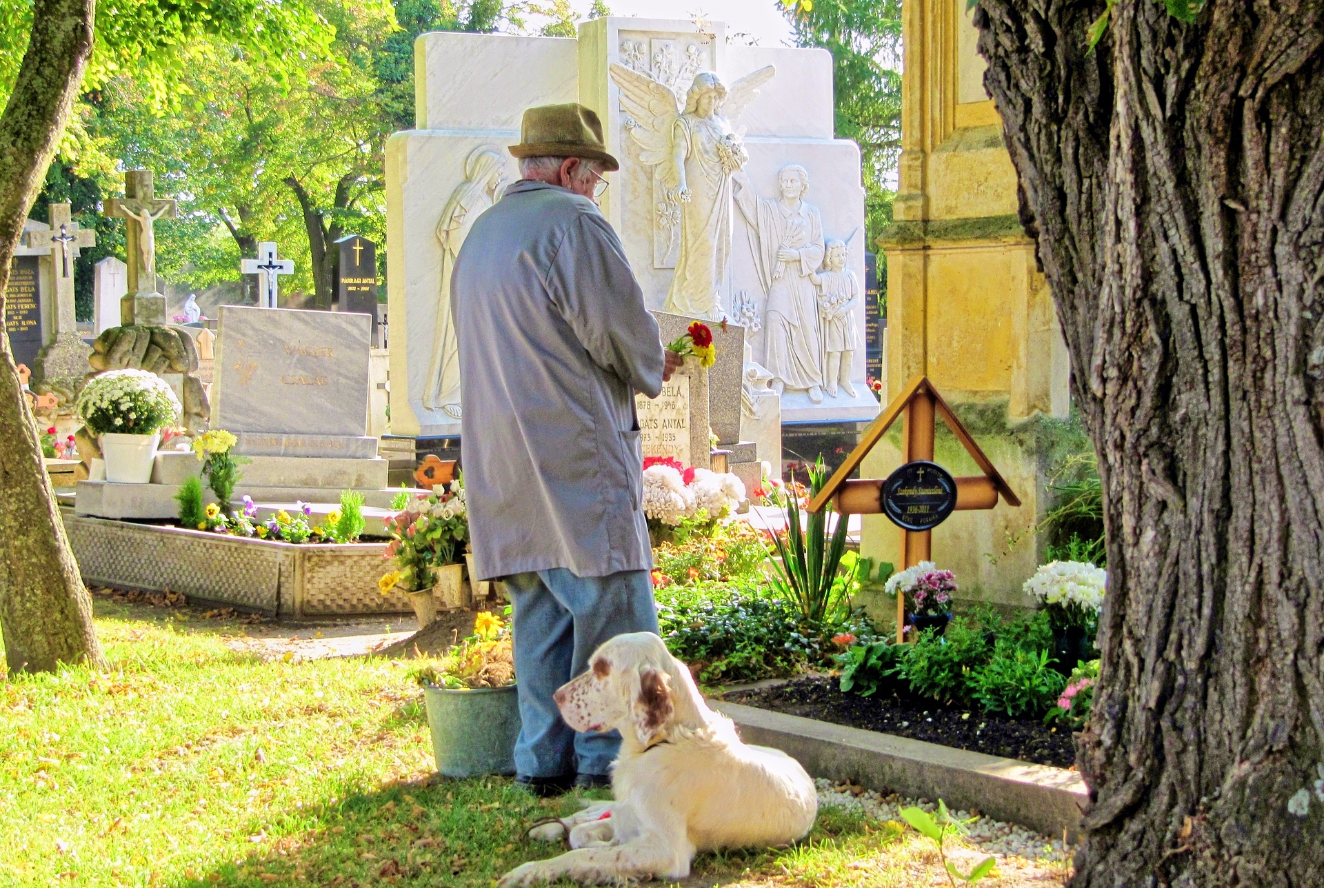 Las mascotas se han convertido es parte importante de la familia y por eso los dueños buscan dedicarles funerales y entierros dignos Foto: Pixabay