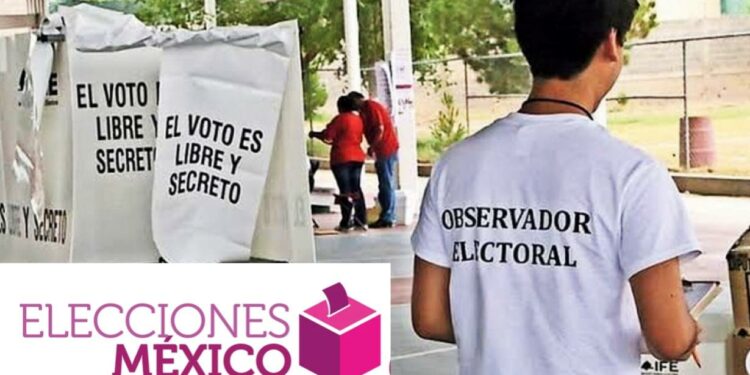 observador-electoral-méxico-elecciones