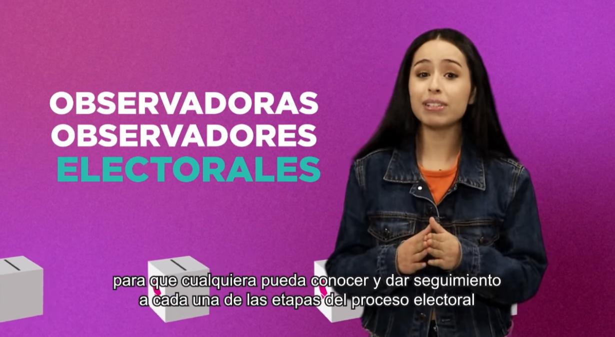 observador-electoral-requisitos-mexico-2023