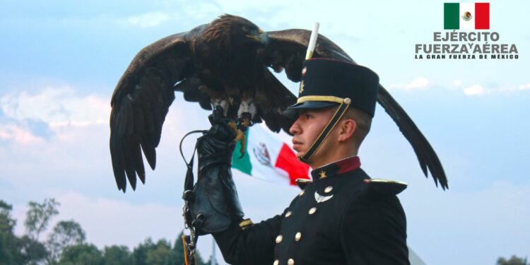 cómo entrar al ejército mexicano
