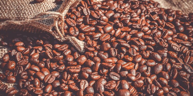 Las asimetrías en el mercado mundial del café podrían abordarse en foros multilaterales, como las Naciones Unidas o el G20. Foto: Pixabay.
