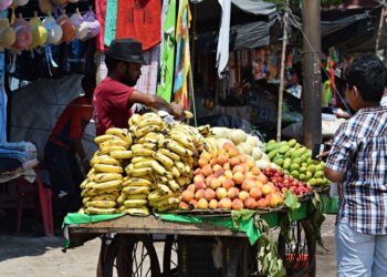 La venta ambulante es una actividad económica legítima que proporciona medios de vida a millones de personas y representa una gran proporción del empleo urbano en muchas ciudades del Sur Global. Foto: Pixabay.